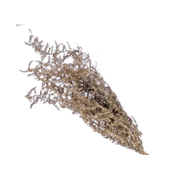 Asparagus csokor szárított 55 cm ezüst