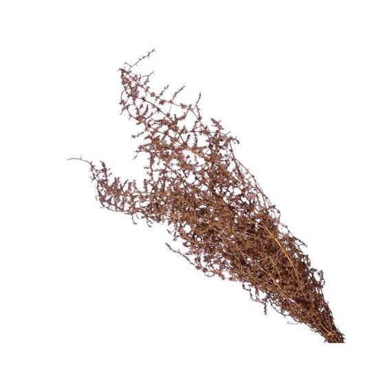 Asparagus csokor szárított 55 cm réz