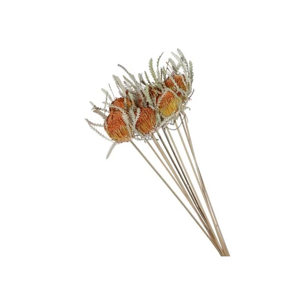 Banksia dryandra, szárazvirág, száron, narancssárga, 10 db