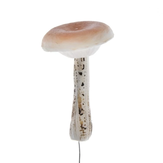 Betűzős gomba, polyfoam, 15 cm, barna, krém