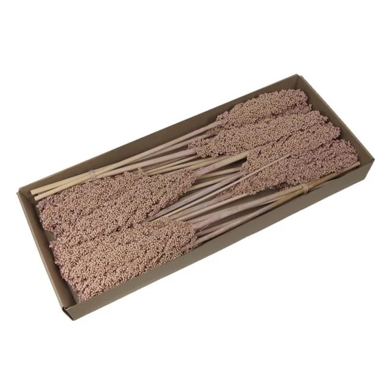 Cirok köteg dobozban púder 70-75 cm 8 db