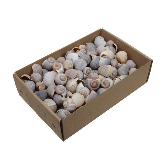 Csigaház, dobozban, natúr, 500 g