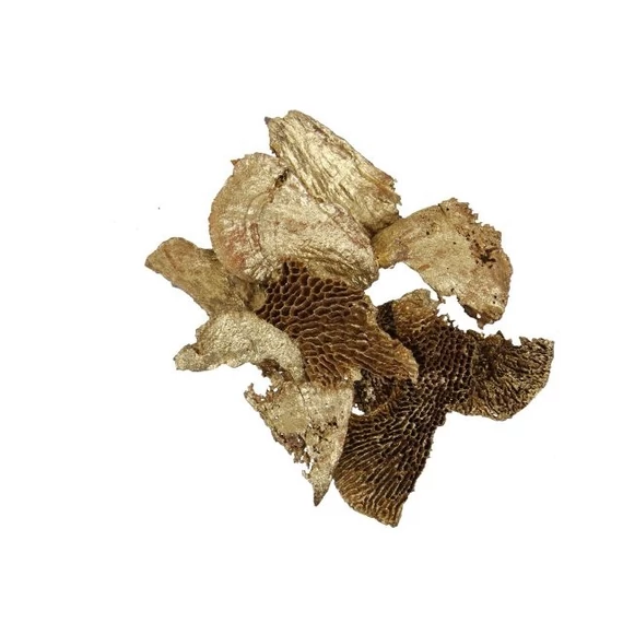 Szárított gomba, 500 gr, arany