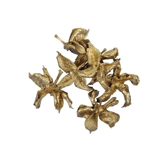 Szárított gyapot termés, 250 g, arany