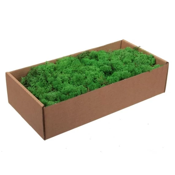 Izlandi zuzmó dobozban, 500 g, zöld