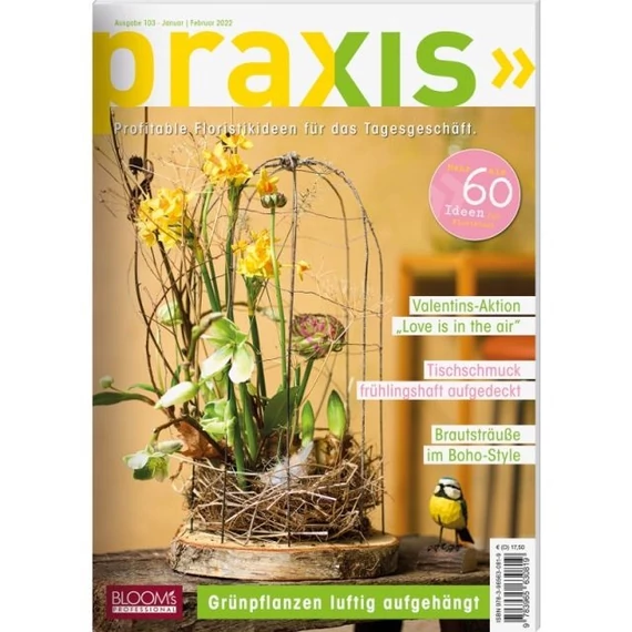 Praxis 1/2022 könyv, papír, színes