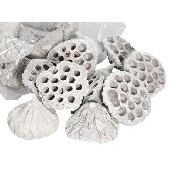 Szárított lotus 7-9 cm, fehér, 25 db