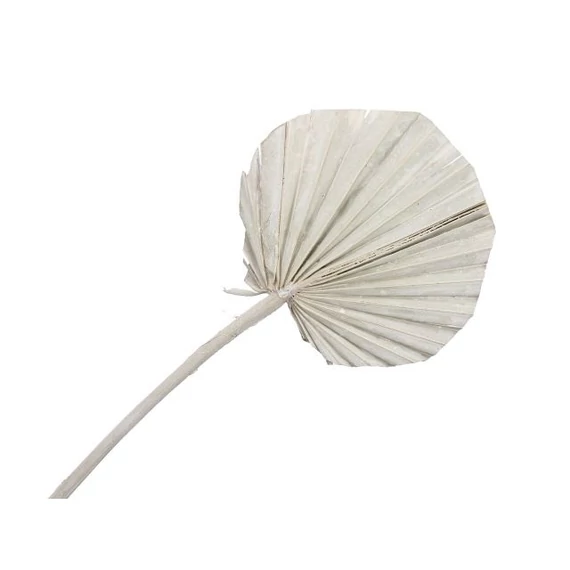Szárított pálma levél, fehér, 10 db