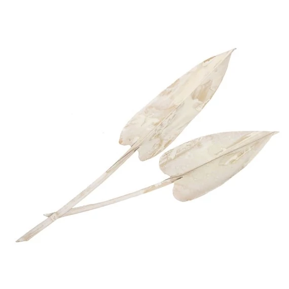 Szárított levél, fehér, 20 cm, 5 db