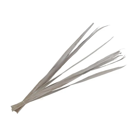 Pálmalevél, szárított, köteg, fehér, 80-95 cm, 10 db