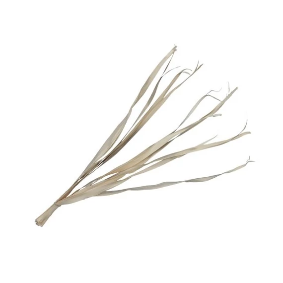 Pálmalevél, szárított, köteg, fehérített, 80-95 cm, 10 db