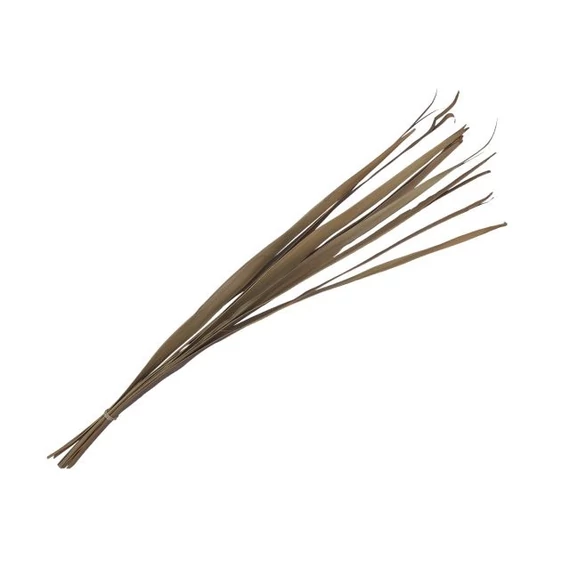 Pálmalevél, szárított, köteg, natúr, 80-95 cm, 10 db