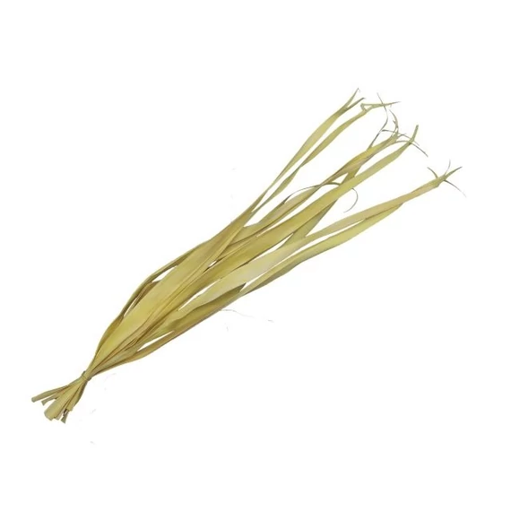 Pálmalevél, szárított, köteg, sárga, 80-95 cm, 10 db