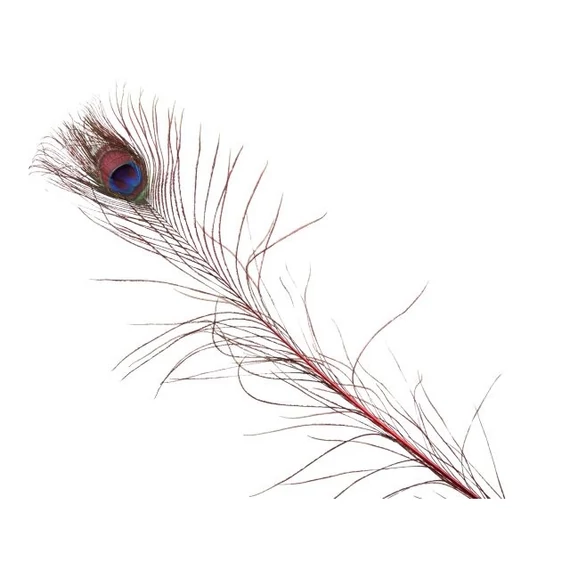 Páva toll, piros, 100 cm, 6 db