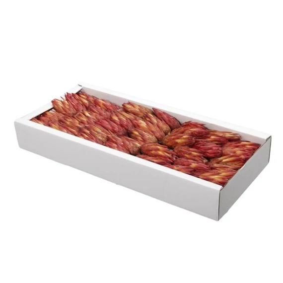 Protea szárított narancs 10 db0