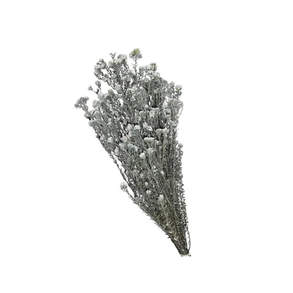 Rizsvirág, szárazvirág, zöld, fehér, 50 cm, 100 g