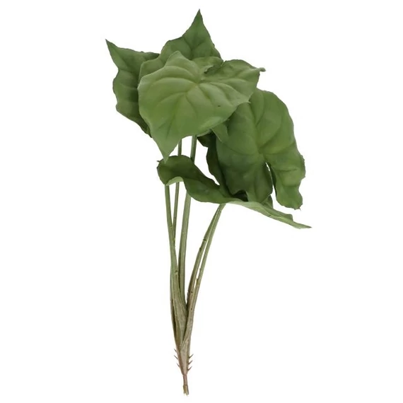 Selyemvirág Alocasia 25 cm zöld