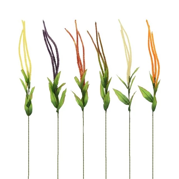 Selyemvirág Amaranthus, 46 cm (6 féle)