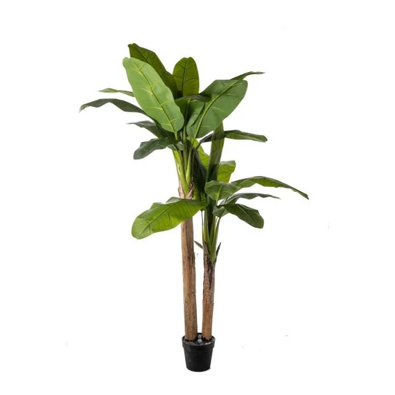 Selyemvirág, banán pálma kaspóban, műanyag, 200 cm, zöld
