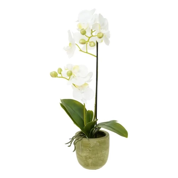 Selyemvirág Lepkeorchidea, 2 ágú, kaspóban, műanyag, 46 cm, fehér-zöld