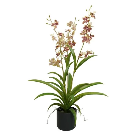 Selyemvirág Lepkeorchidea, 3 ágú, kaspóban, műanyag, 70 cm, mályva, zöld