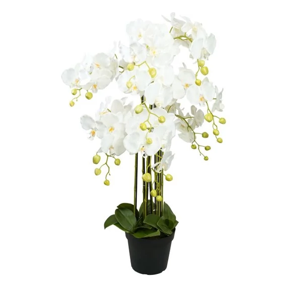 Selyemvirág Lepkeorchidea, 8 ágú, kaspóban, műanyag, 90 cm, fehér-zöld