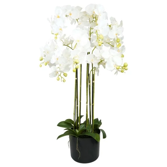 Selyemvirág Lepkeorchidea, 9 ágú, kaspóban, műanyag, 110 cm, fehér-zöld