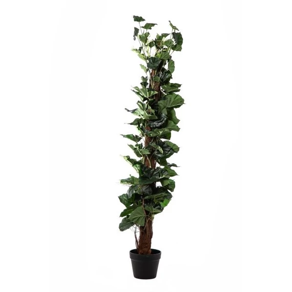 Selyemvirág Syngonium kaspóban, műanyag, zöld, 130 cm