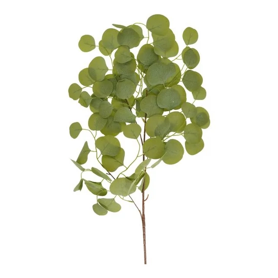 Selyemvirág ág Eucalyptus populus 80 cm zöld