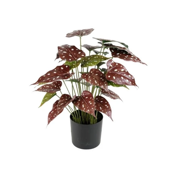 Selyemvirág Alokázia pöttyös cserepes 40cm piros