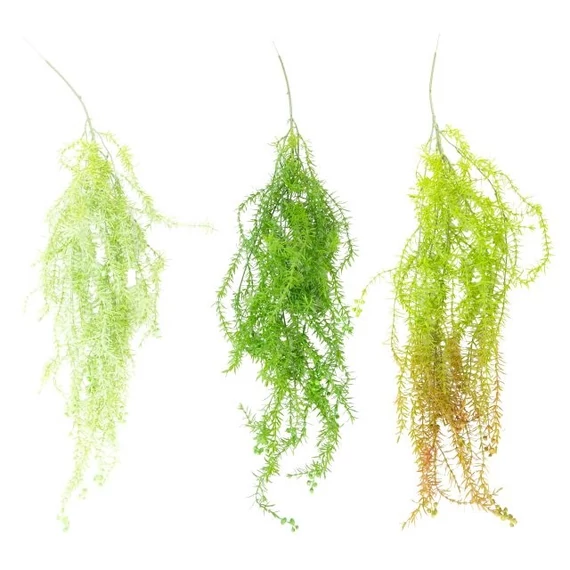 Selyemvirág Asparagus füzér 100 cm zöld 3 féle