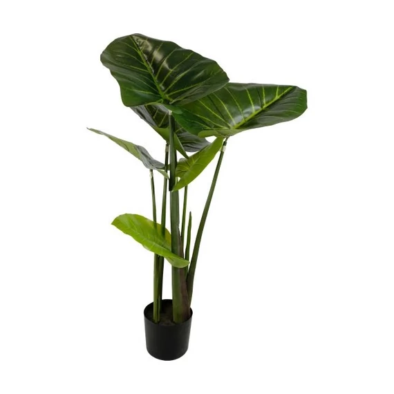 Selyemvirág Colocasia cserepes zöld 100 cm