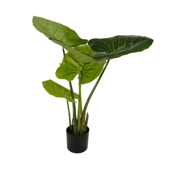 Selyemvirág Colocasia cserepes 80 cm zöld