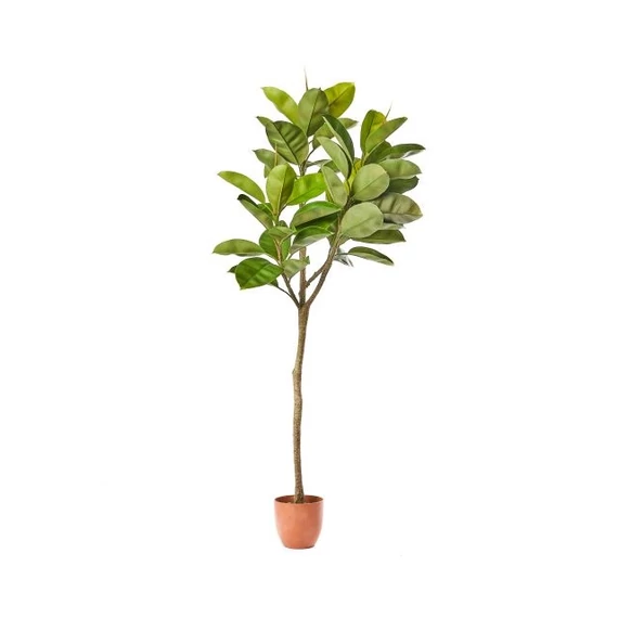 Selyemvirág ficus cserepes 150cm zöld