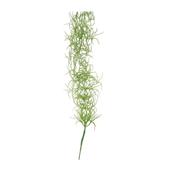 Selyemvirág futó szakáll bromélia 112 cm zöld