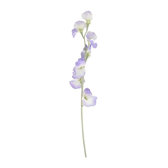 Selyemvirág, Lathyrus, lila, 64 cm