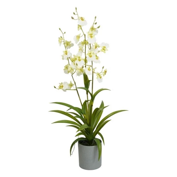 Selyemvirág orchidea, 3 ágú, Oncidium, kaspóban, műanyag, 70 cm, fehér, zöld