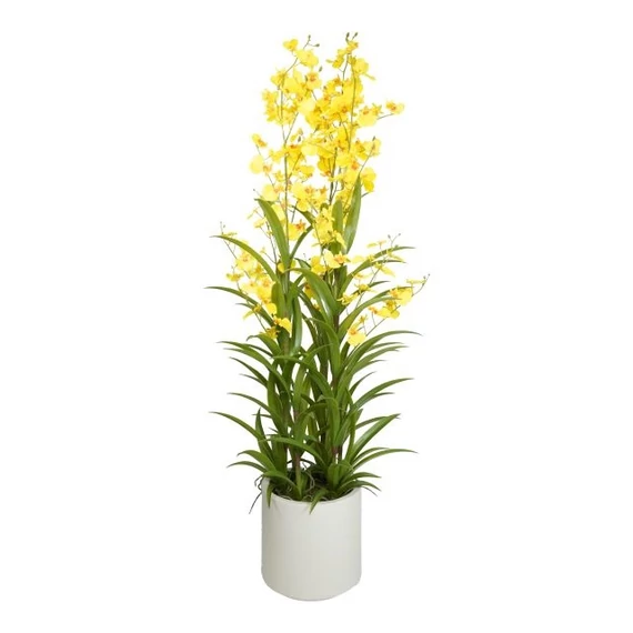 Selyemvirág orchidea, Oncidium, 3 ágú, kaspóban, műanyag, 112 cm, sárga-zöld