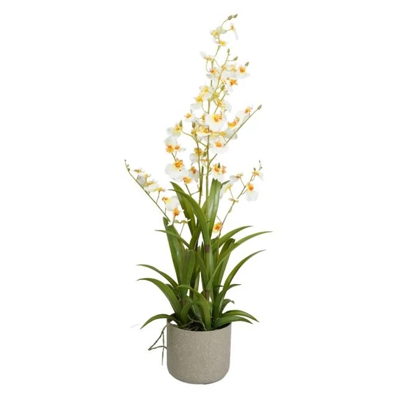 Selyemvirág orchidea, Oncidium, 4 ágú, kaspóban, műanyag, 83 cm, fehér, sárg
