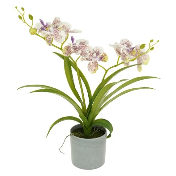 Selyemvirág orchidea, Vanda, 2 ágú, kaspóban, műanyag, 39 cm, fehér-lila