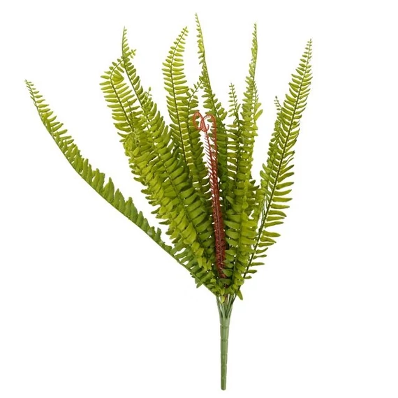 Selyemvirág páfrány 60 cm zöld