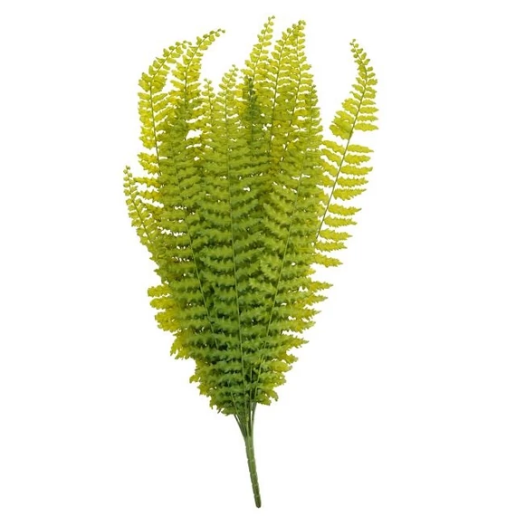 Selyemvirág páfrány 70 cm zöld