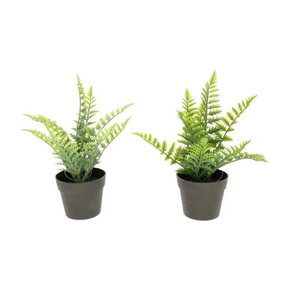 Selyemvirág Páfrány cserepes 25 cm 2 féle zöld