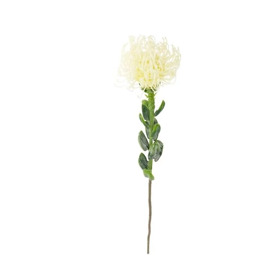 Selyemvirág protea 61x9x9 cm krém