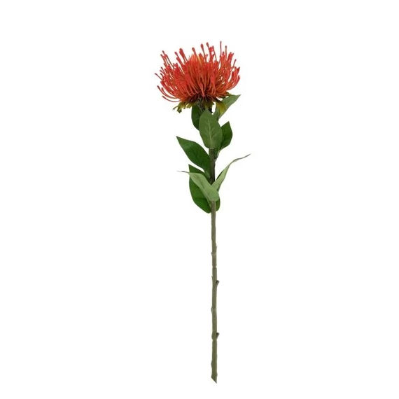 Selyemvirág protea 73x12x12 cm piros