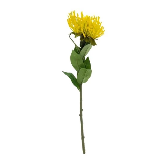 Selyemvirág protea 73x12x12 cm sárga