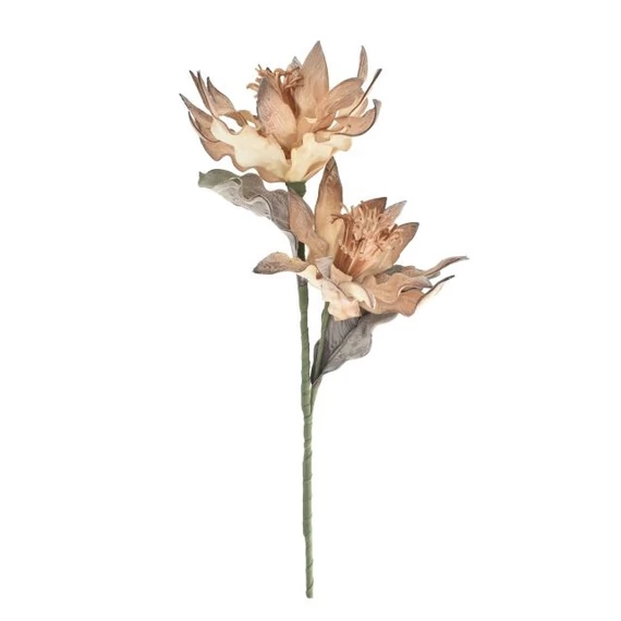 Selyemvirág Protea hab 103 cm natúr