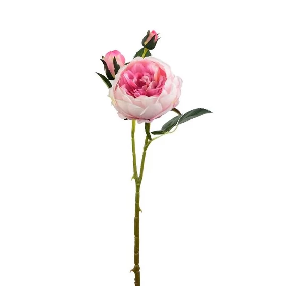 Selyemvirág Angol rózsa, szálas, rózsaszín, 67 cm