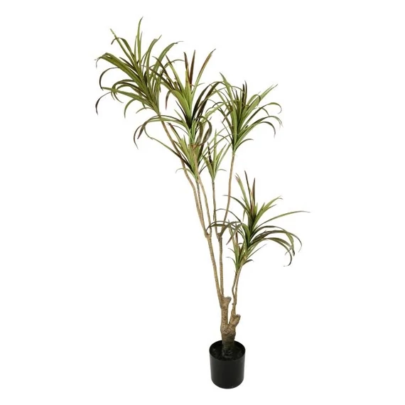 Selyemvirág Dracéna cserepes zöld 160 cm