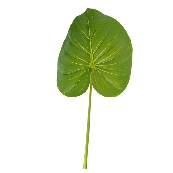 Selyemvirág trópusi levél 75 cm zöld